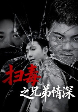 扫毒之兄弟情深海报