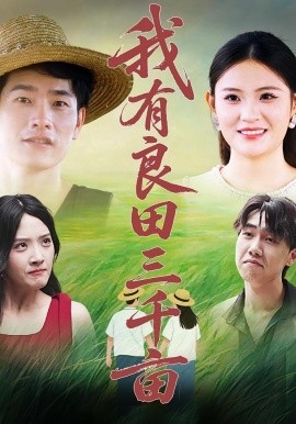 我有良田三千亩海报