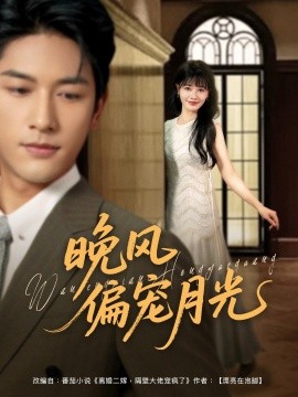 晚风偏宠月光海报
