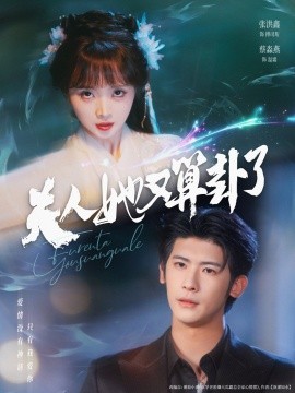 夫人她又算卦了海报