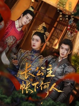 长公主帐下何人海报