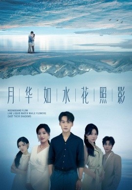 月华如水花照影海报