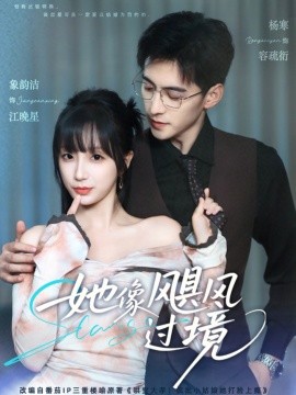 她像飓风过境海报