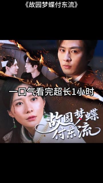 故园梦蝶付东流海报