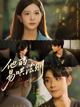 他的易哄法则海报