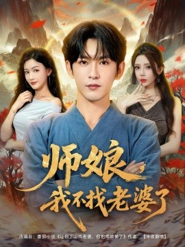师娘，我不找老婆了海报