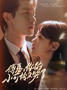 傅总你的小可怜又哭了海报
