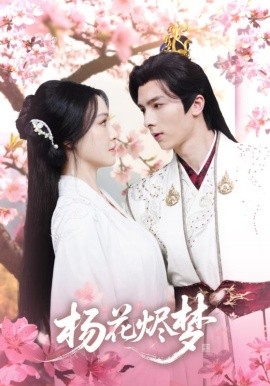 扬花烬梦海报