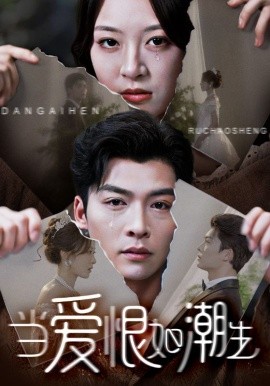 当爱恨如潮生海报