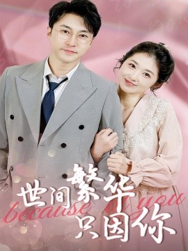 世间繁华只因你海报