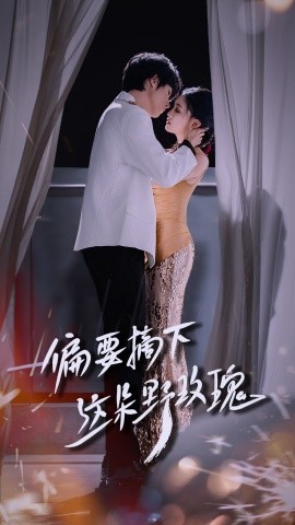 偏要摘下这朵野玫瑰海报