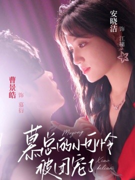 慕总的小可怜被团宠了海报