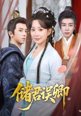 储君误卿海报