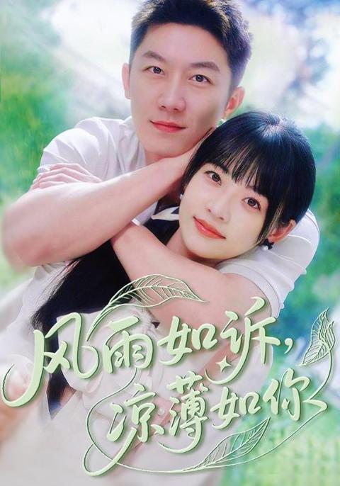 风雨如诉凉薄如你海报