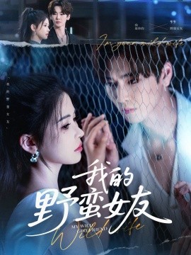 我的野蛮女友海报