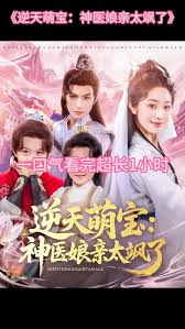 逆天萌宝神医娘亲太飒了海报