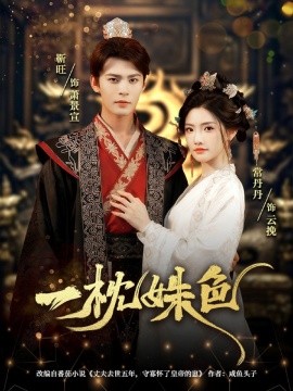 一枕姝色海报