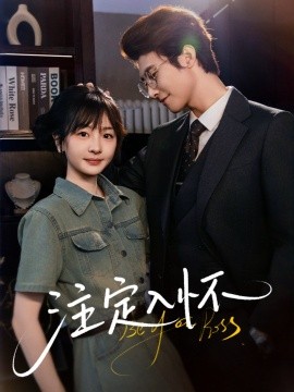 注定入怀海报