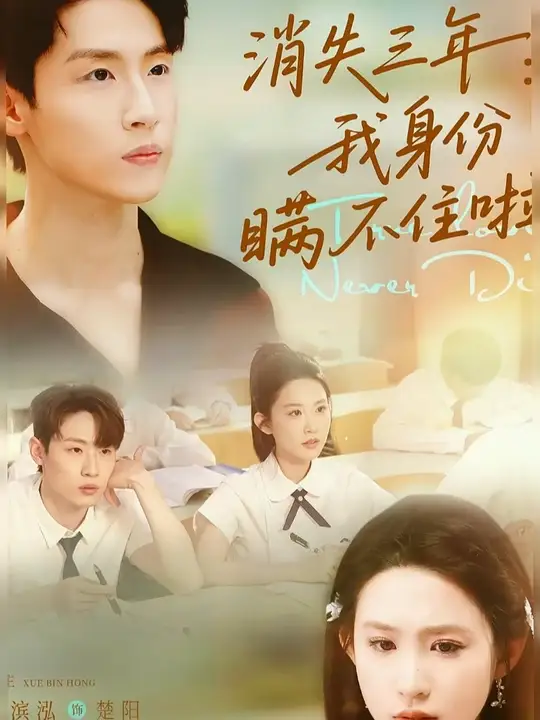 消失三年我身份瞒不住了海报