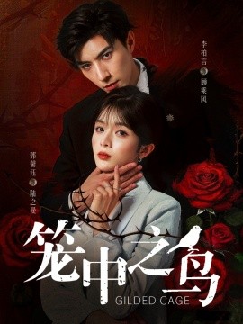 笼中之鸟海报
