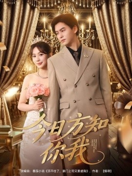 今日方知你我海报