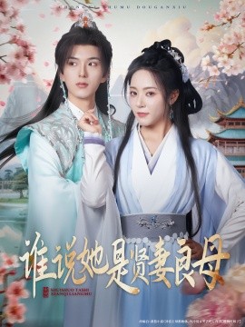 谁说她是贤妻良母海报