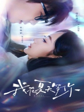 我在夏天等你海报