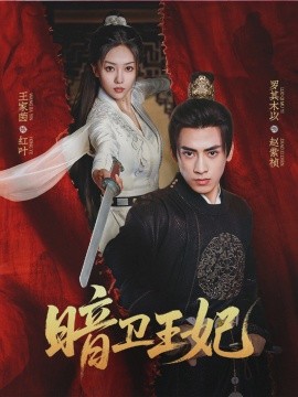 暗卫王妃海报
