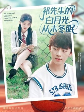 祁先生的白月光从未冬眠海报