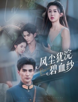 风尘犹浣碧血纱海报