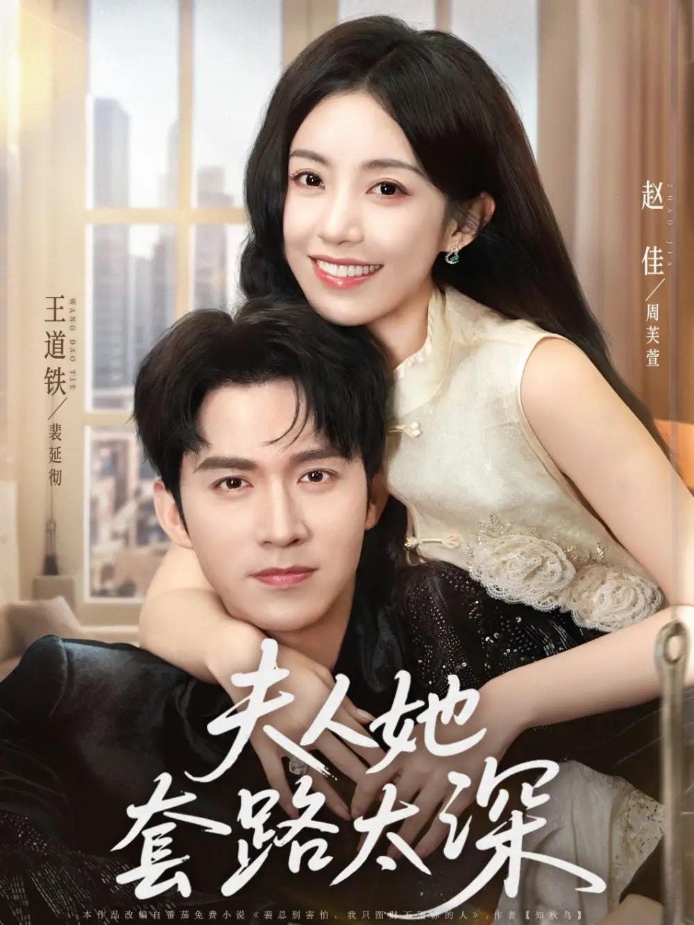 夫人她套路太深海报