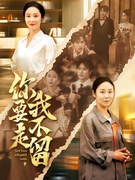 你要走我不留海报