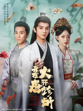 我在大唐开诊所海报