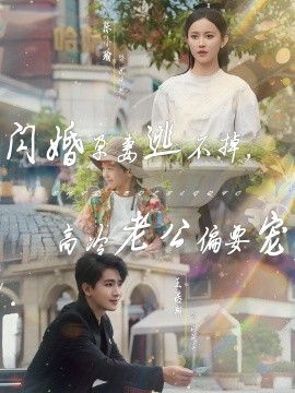 闪婚孕妻逃不掉，高冷老公偏要宠海报