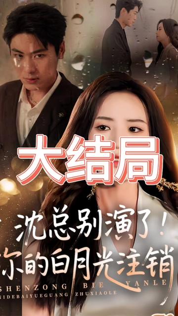 沈总别演了你的白月光注销了海报