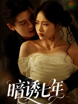 暗诱七年海报
