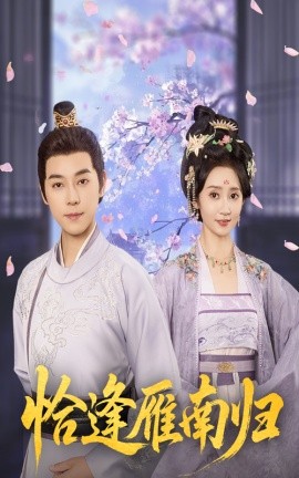 恰逢雁南归海报