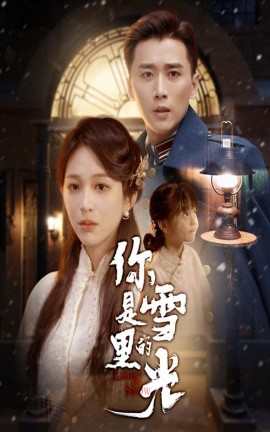 你是雪里的光海报