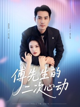 傅先生的二次心动海报