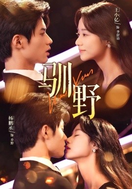 驯野海报