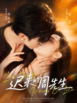 迟来的周先生海报