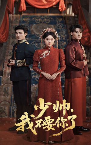 少帅我不要你了海报