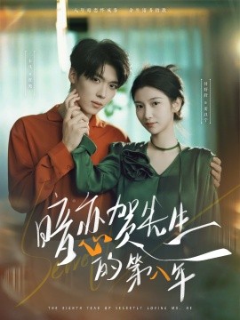 暗恋贺先生的第八年海报