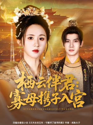 栖云伴君寡母携子入宫海报