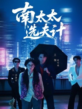 南太太选夫记海报