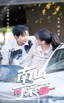 南山可采莓海报