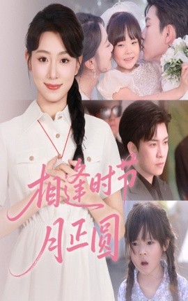 相逢时节月正圆海报