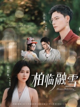 柏临融雪海报