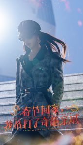 爆竹声中谙世路海报