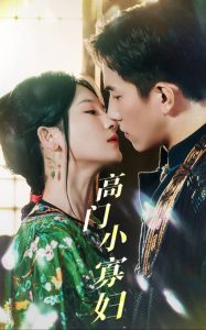 高门小寡妇海报